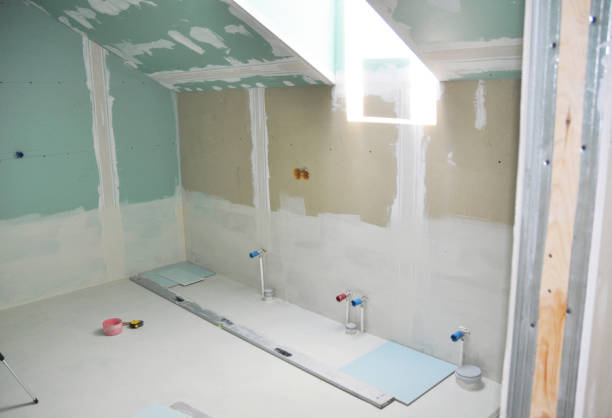 Best Crawl Space Mold Remediation  in Shiremanstown, PA