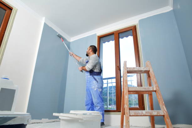 Best Mold Removal for HVAC Installations  in Shiremanstown, PA